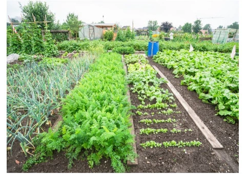 Why Organic Fertilisers Are a Smart Choice for Healthy Soil