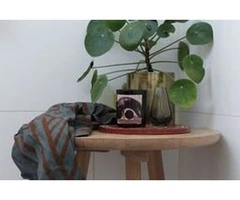 Aboriginal Artefacts for Learning and Cultural Connection