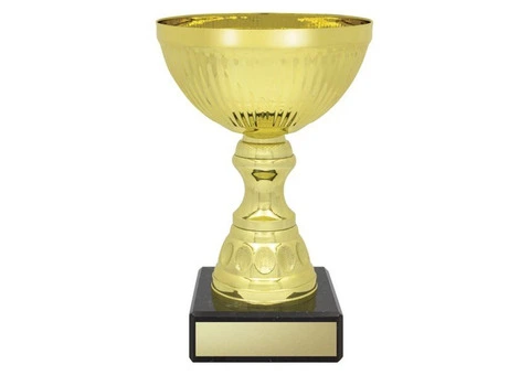 Do You Need a Trophy to Record Your History?