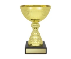 Do You Need a Trophy to Record Your History?