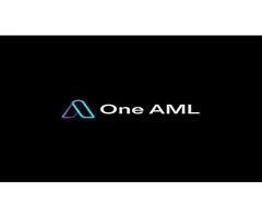 AML Consulting