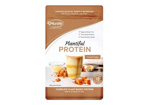 Craving Tasty Plant Protein? Try Morlife Plantiful Caramel Fudge Today