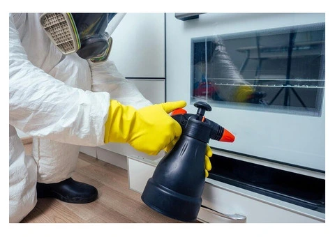 Residential Pest Control in Geelong - 3/4