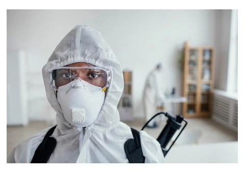 Residential Pest Control in Geelong - 4/4