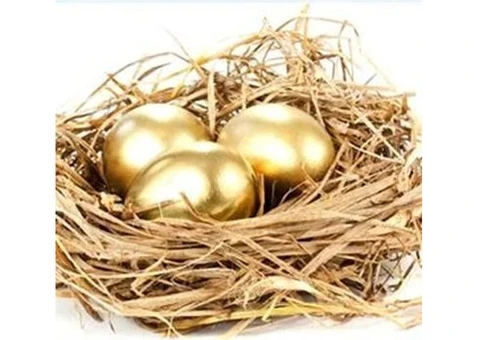 SMSF Buyers Agent | SMSF Property Advisory | FVG Property