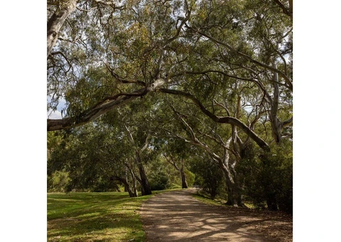 Top Premium Sale Land Strathtulloh for Future Growth