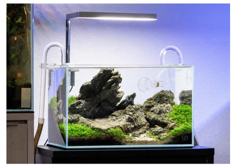 Aquascaping Supplies Shop & Gallery Based in Perth