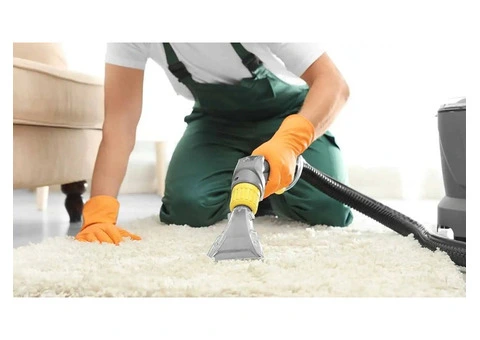 Professional Carpet Cleaning Services in Dulwich Hill