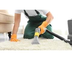 Professional Carpet Cleaning Services in Dulwich Hill