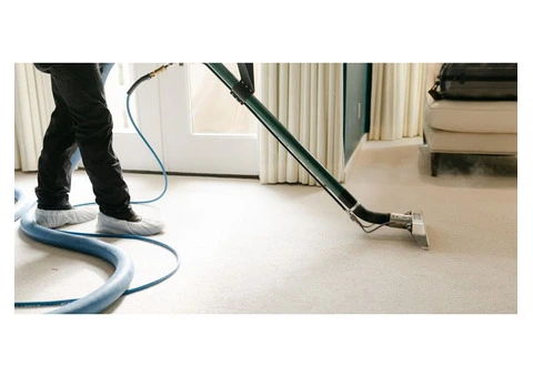 Affordable and Trusted Burwood Carpet Cleaners in Burwood