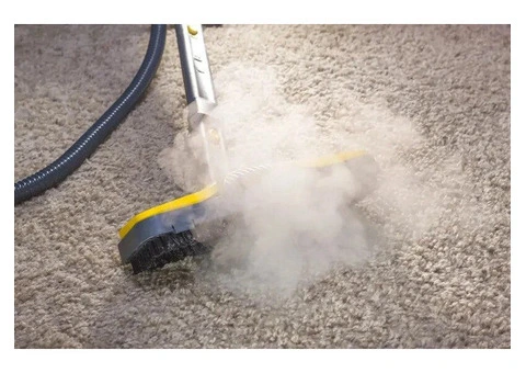 Count on the Carpet Steam Cleaning Specialist Adelaide