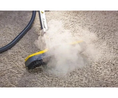 Count on the Carpet Steam Cleaning Specialist Adelaide