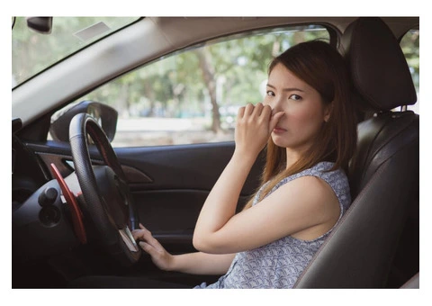 CAR ODOUR REMOVAL SERVICE WILLOUGHBY - 2/5