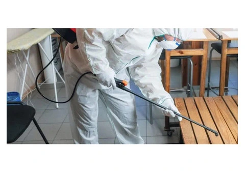 Keeping Homes Clear with Trusted Pest Control Services Near Patterson Lakes