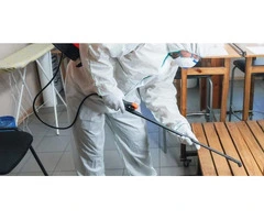 Keeping Homes Clear with Trusted Pest Control Services Near Patterson Lakes