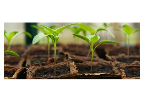 Organic Slow Release Fertiliser in Australia – Nourish Your Soil Naturally