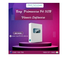 Primavera P6 XER File Viewer Software