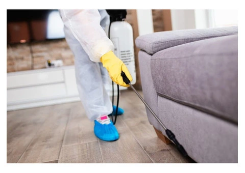 Strata Pest Control Central Coast