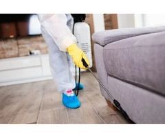 Strata Pest Control Central Coast