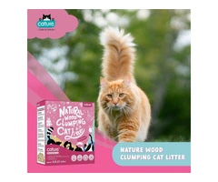 Buy CATURE Wood Clumping Cat Litter at Petservo.