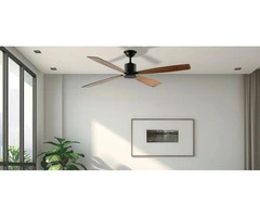 Lighting Stores Adelaide