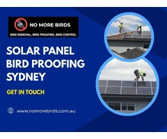 Solar Panel Bird Proofing Sydney
