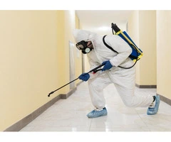 Mosquito Treatment Gold Coast – Reliable Outdoor Property Care Services