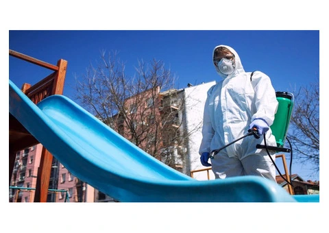 Trusted Pest Control Solutions for Homes & Businesses