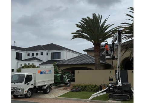 Tree Removal Merrylands