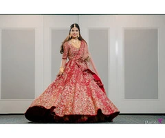 Pre wedding shoot in Wollongong-Purple Bird Photo - Australia