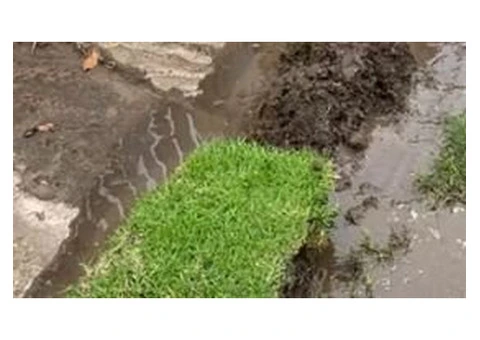 Drainage Repair