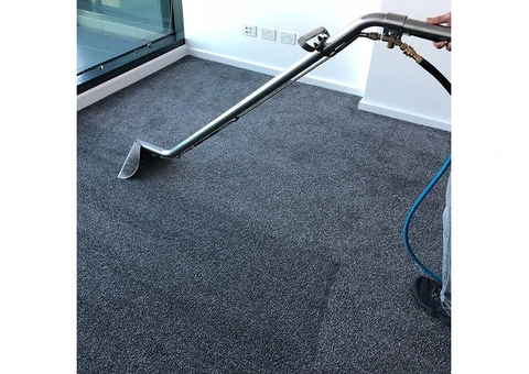 Professional Carpet Cleaning Services in Brighton