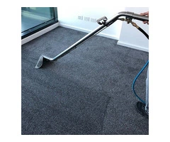 Professional Carpet Cleaning Services in Brighton