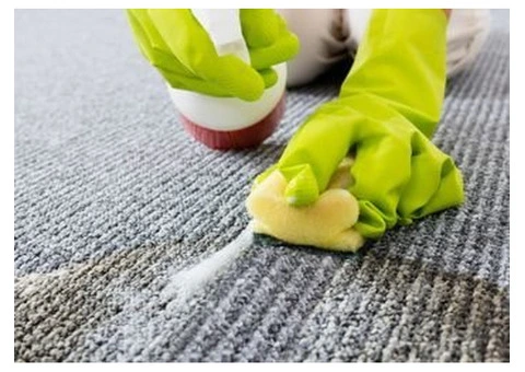 Comprehensive Carpet Cleaning by Professional Cleaners
