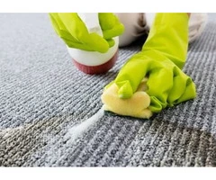Comprehensive Carpet Cleaning by Professional Cleaners