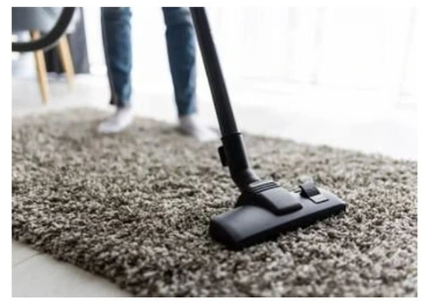 Comprehensive Carpet Cleaning by Professional Cleaners