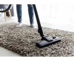 Comprehensive Carpet Cleaning by Professional Cleaners