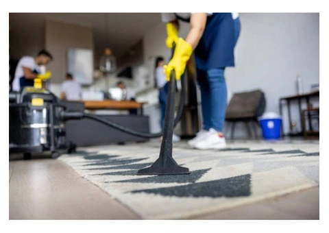 Professional Carpet Cleaning Services by WCG Cleaning
