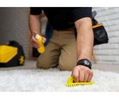 Comprehensive Carpet Cleaning by Professional Cleaners
