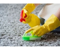 Comprehensive Carpet Cleaning by Professional Cleaners