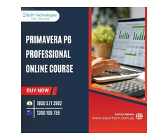 Complete Primavera P6 Training & Certification