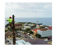 Arborist Sydney