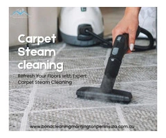 Professional Carpet Steam Cleaning for Lasting Freshness