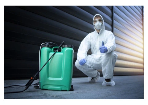 Pest Control Adelaide – Fast, Safe & Affordable Pest Solutions