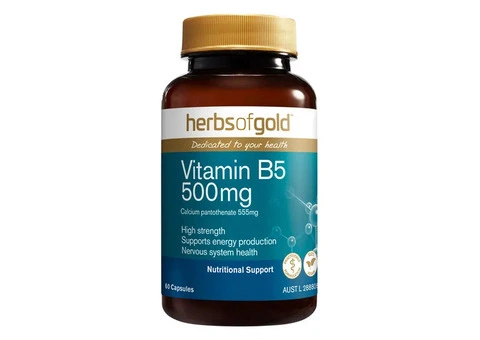 Looking for High-Strength Vitamin B5 Support? Herbs Of Gold Vitamin B5 500mg Caps That Work!