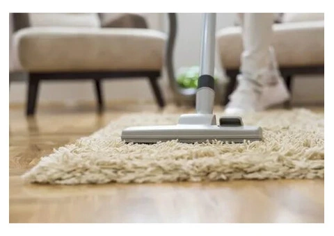 Say Goodbye to Stains – Kingsgrove’s Carpet Cleaning Kings
