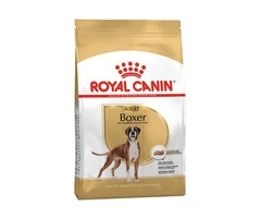Royal Canin Boxer Adult Dry Dog Food | DiscountPetCare
