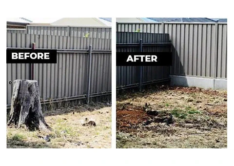 Stump Removal Adelaide | Stump Grinding vs Removal – Expert Guide