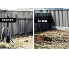 Stump Removal Adelaide | Stump Grinding vs Removal – Expert Guide