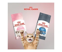 Buy the Best Food for Your Dogs & Cats from Royal Canin at PetServo.